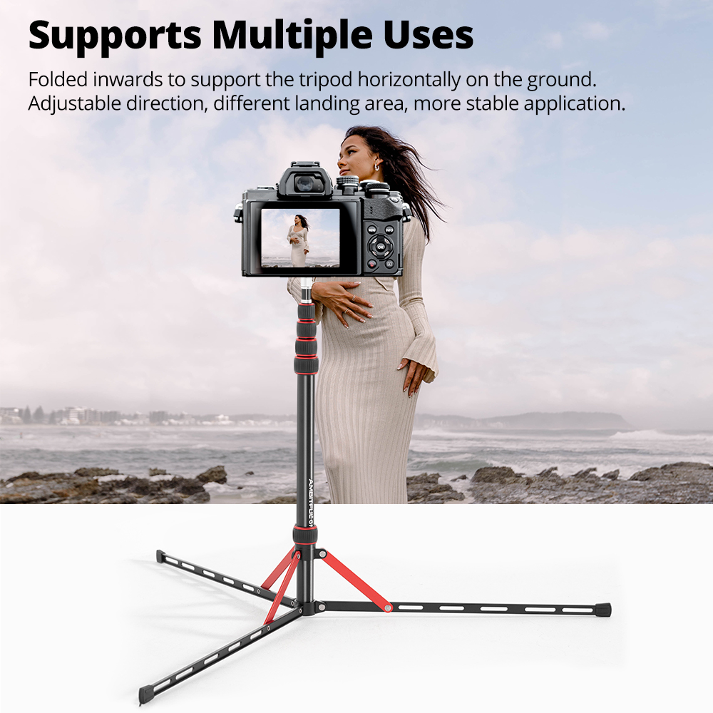 Ambitful GM220 Photographic Li - Photography Basics ulasan dan harga