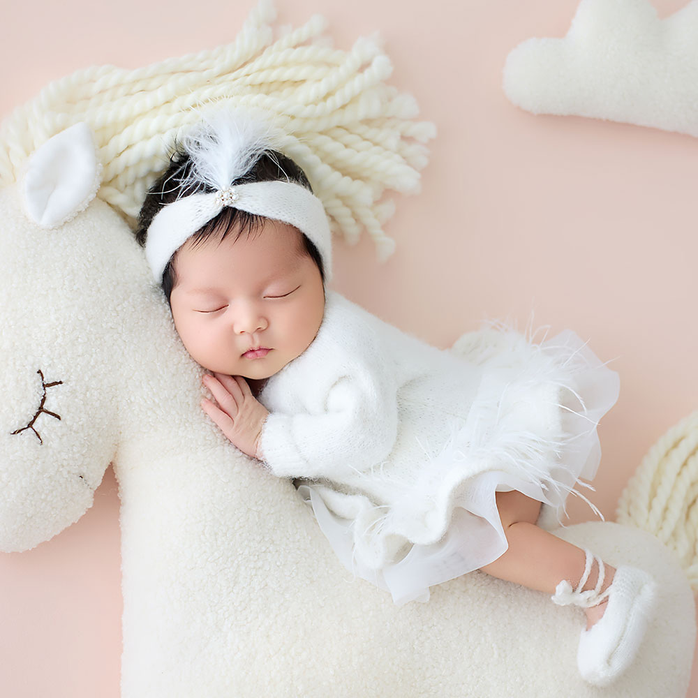 0-1 Month Newborn Photography  - Photography Still Life ulasan dan harga